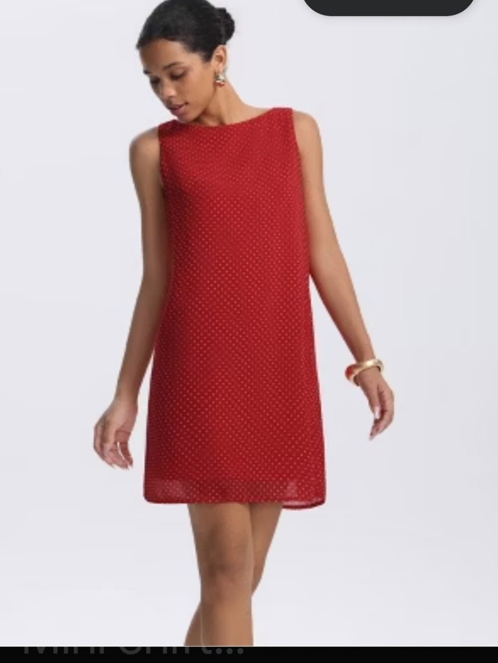 Max Studio Red Shift  dress sleeveless Chiffon Lace floral pattern. Size L …